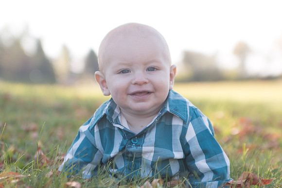 Cohen-6Mo 241-82