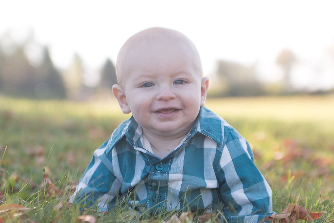 Cohen-6Mo 241-82