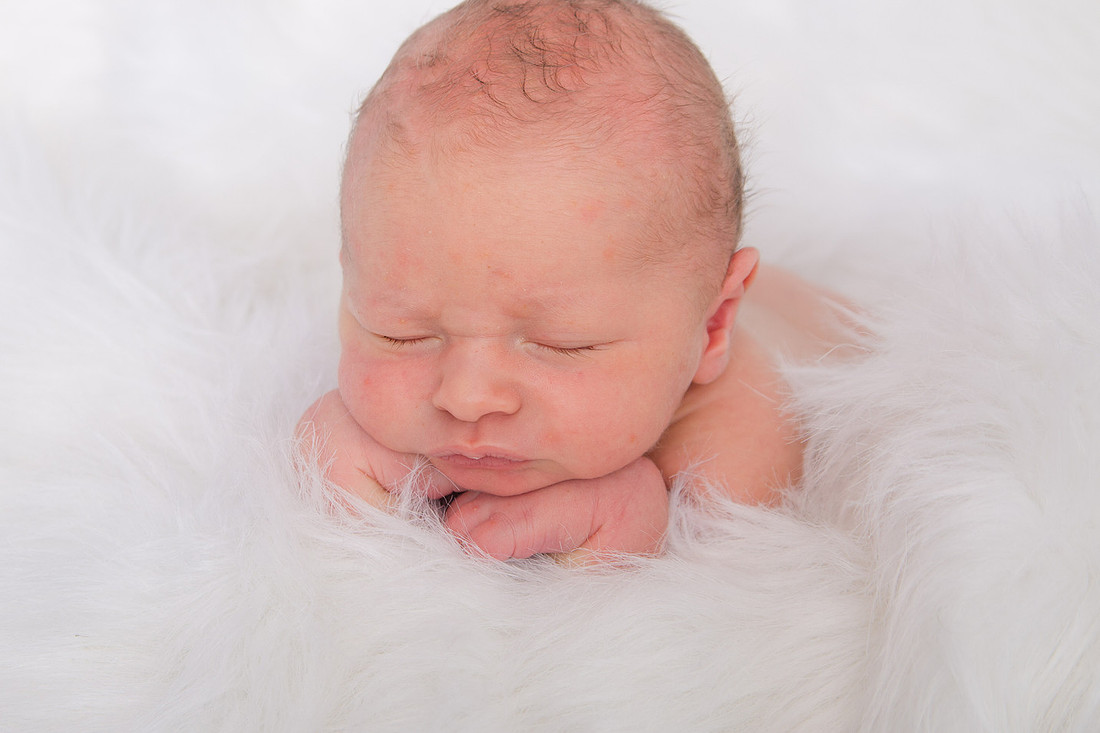 Cohen-Newborn 217-71