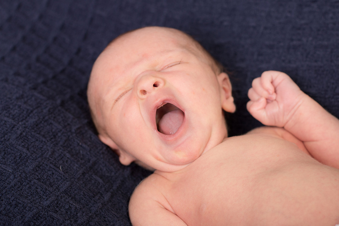 Cohen-Newborn 073-20