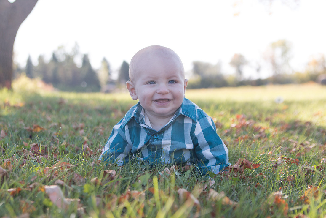 Cohen-6Mo 233-76