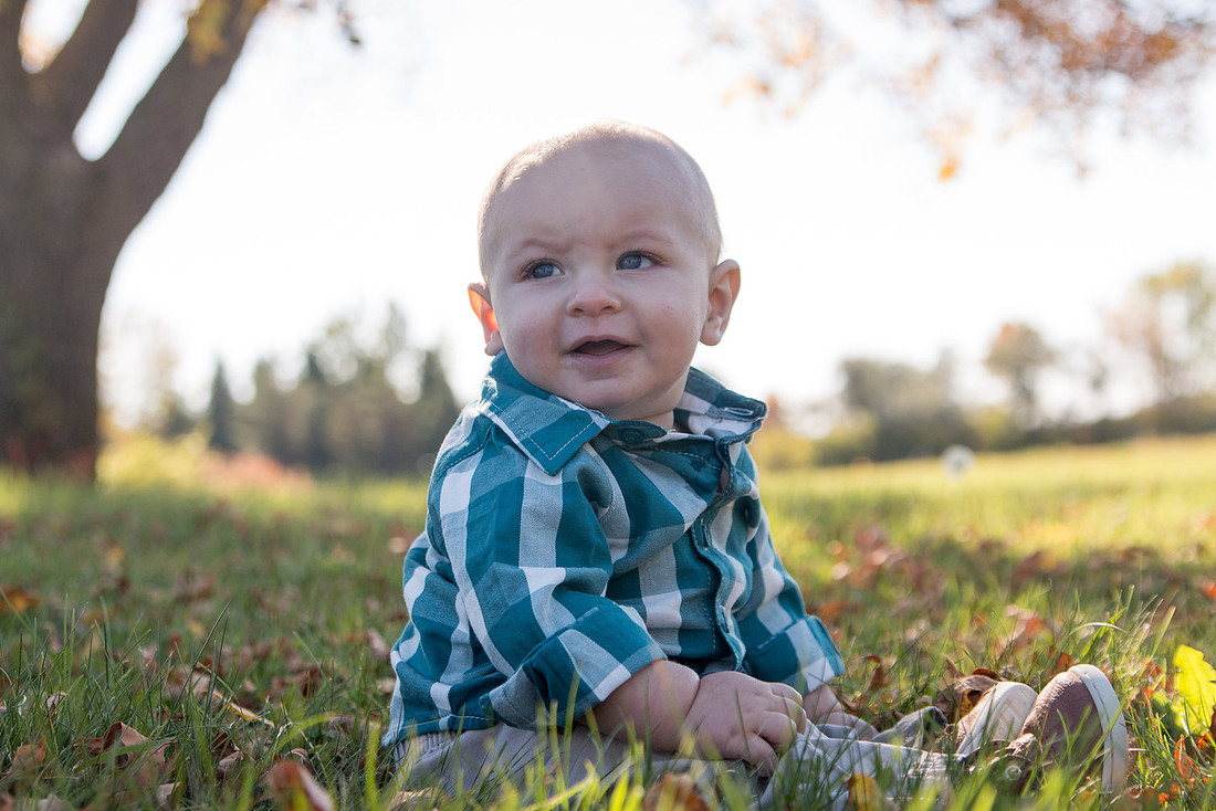 Cohen-6Mo 260-93