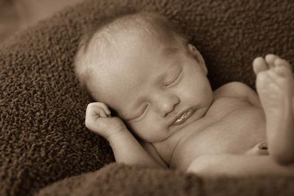Zaback 131-44